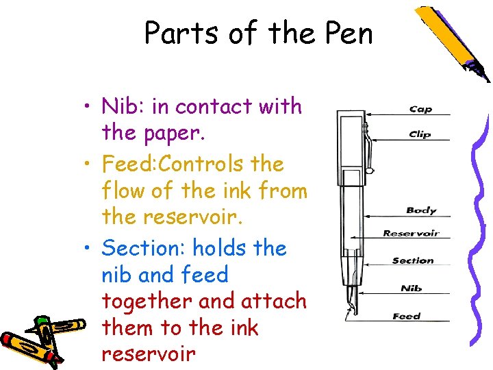 Parts of the Pen • Nib: in contact with the paper. • Feed: Controls