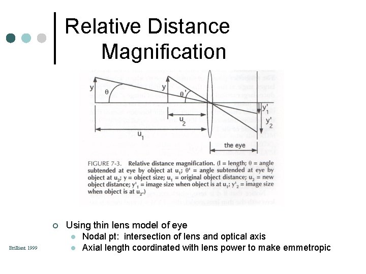 Relative Distance Magnification ¢ Using thin lens model of eye l Brilliant 1999 l Relative Distance Magnification ¢ Using thin lens model of eye l Brilliant 1999 l