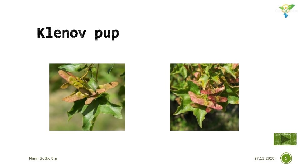 Marin Suško 8. a 27. 11. 2020. 5 