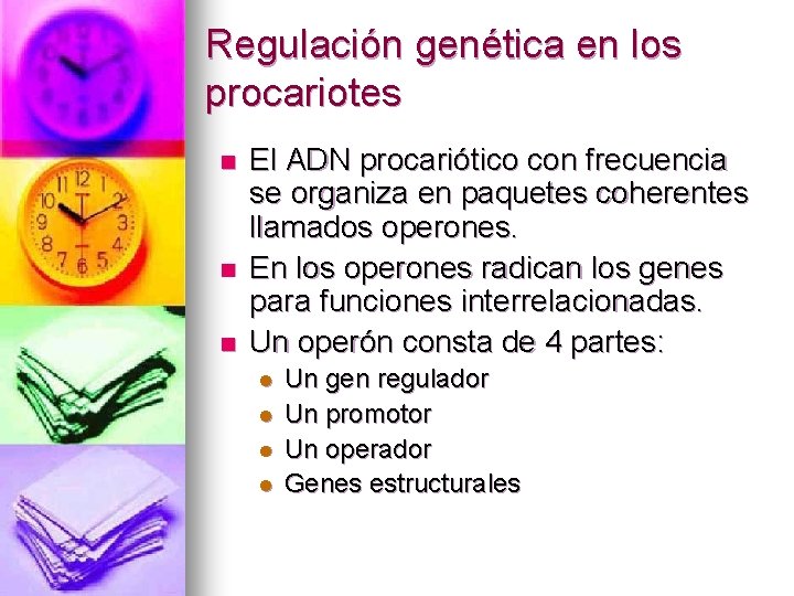 Regulación genética en los procariotes n n n El ADN procariótico con frecuencia se