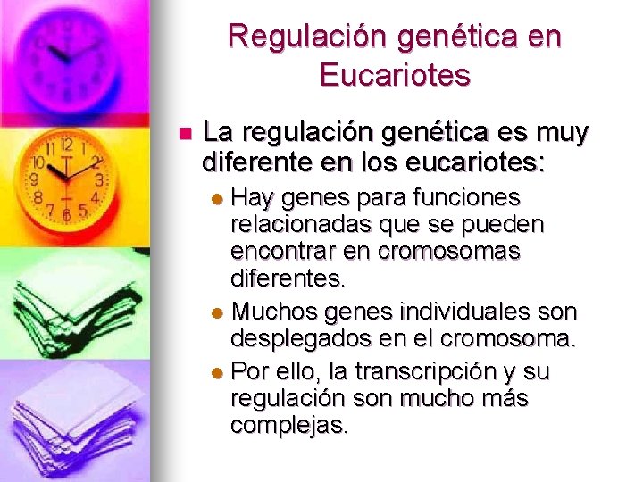 Regulación genética en Eucariotes n La regulación genética es muy diferente en los eucariotes: