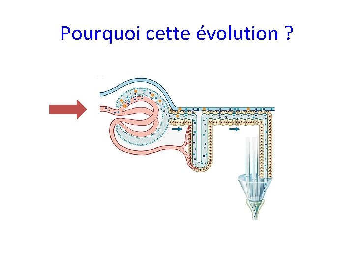 Pourquoi cette évolution ? 