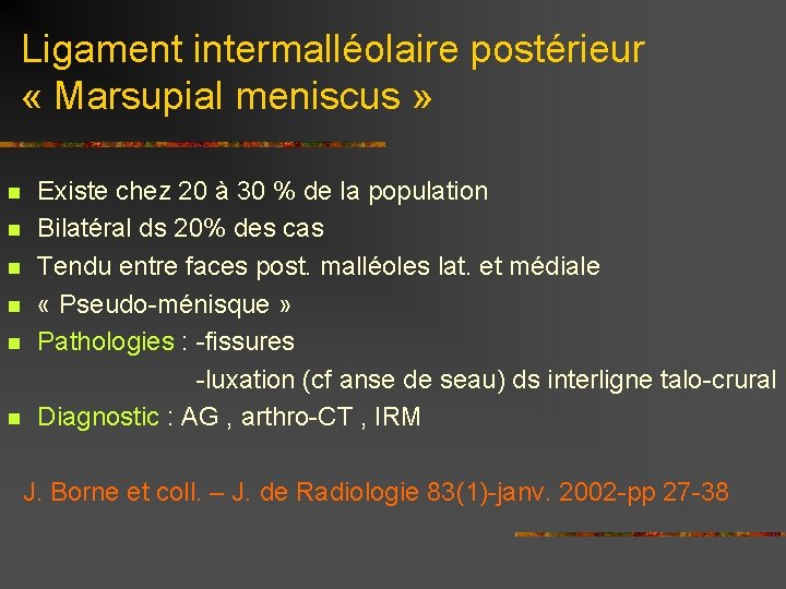 Ligament intermalléolaire postérieur « Marsupial meniscus » Existe chez 20 à 30 % de