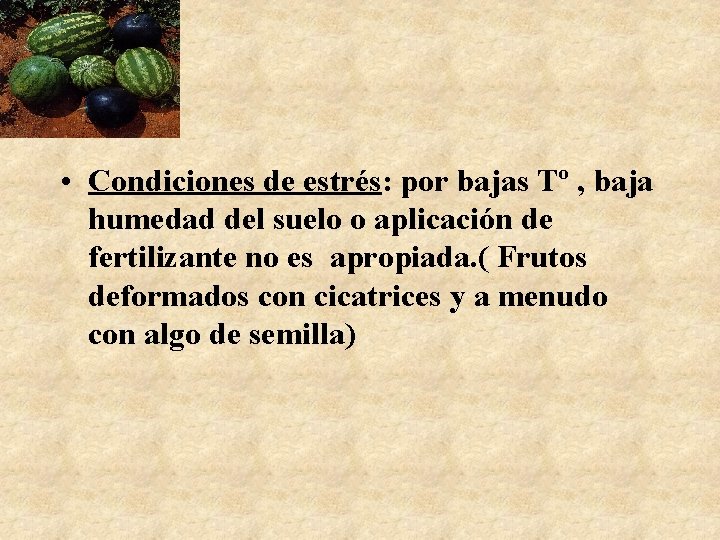  • Condiciones de estrés: por bajas Tº , baja humedad del suelo o