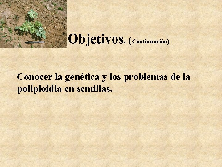 Objetivos. (Continuación) Conocer la genética y los problemas de la poliploidia en semillas. 