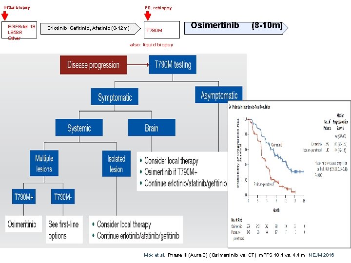 Initial biopsy EGFRdel 19 L 858 R Other PD: rebiopsy Erlotinib, Gefitinib, Afatinib (8
