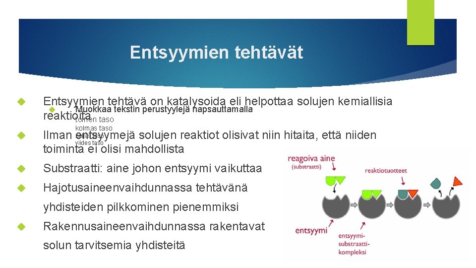 Entsyymien tehtävät Entsyymien tehtävä on katalysoida eli helpottaa solujen kemiallisia Muokkaa tekstin perustyylejä napsauttamalla