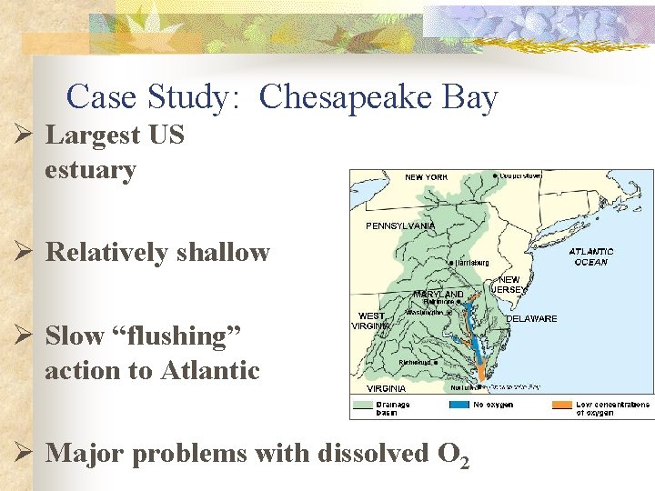 Case Study: Chesapeake Bay Ø Largest US estuary Ø Relatively shallow Ø Slow “flushing”