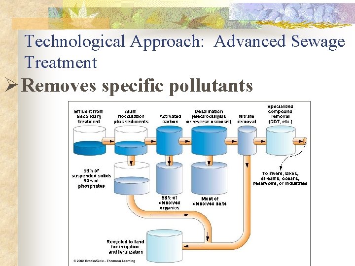 Technological Approach: Advanced Sewage Treatment Ø Removes specific pollutants 
