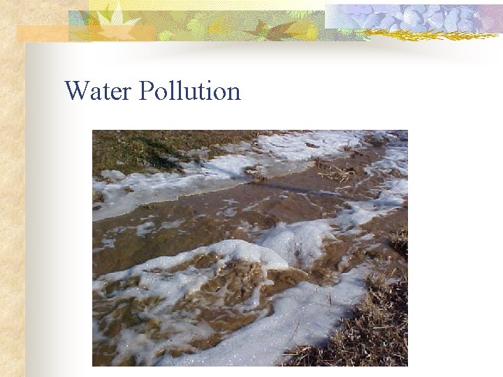 Water Pollution 