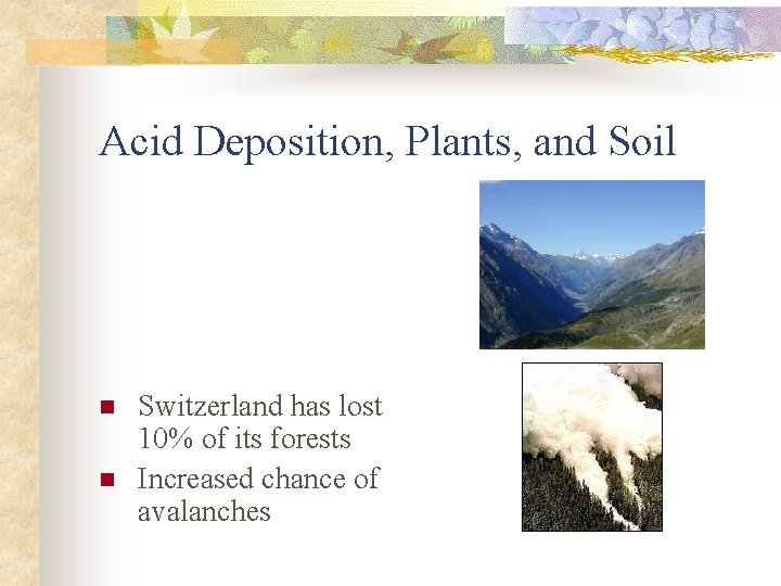 Acid Deposition, Plants, and Soil n n Switzerland has lost 10% of its forests