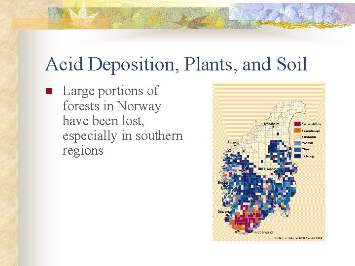 Acid Deposition, Plants, and Soil n Large portions of forests in Norway have been