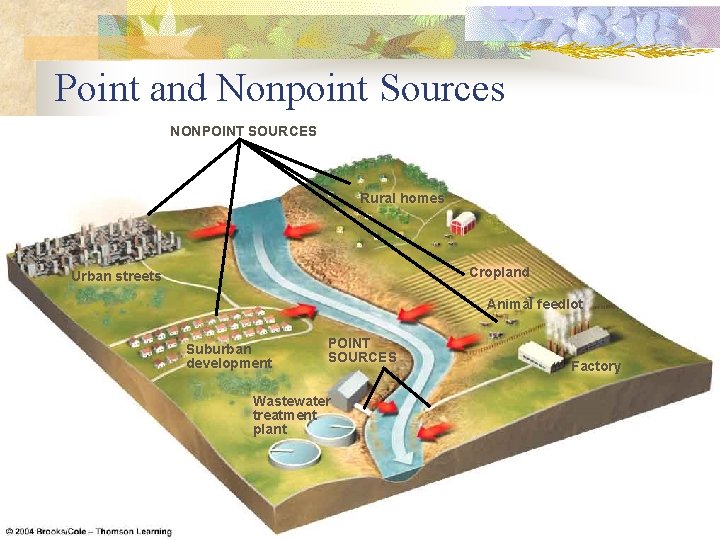 Point and Nonpoint Sources NONPOINT SOURCES Rural homes Cropland Urban streets Animal feedlot Suburban