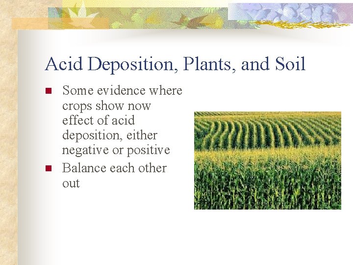 Acid Deposition, Plants, and Soil n n Some evidence where crops show now effect