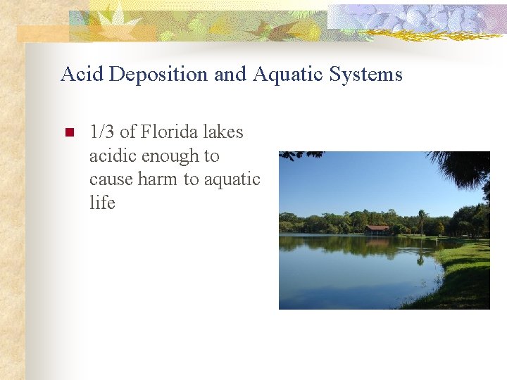 Acid Deposition and Aquatic Systems n 1/3 of Florida lakes acidic enough to cause