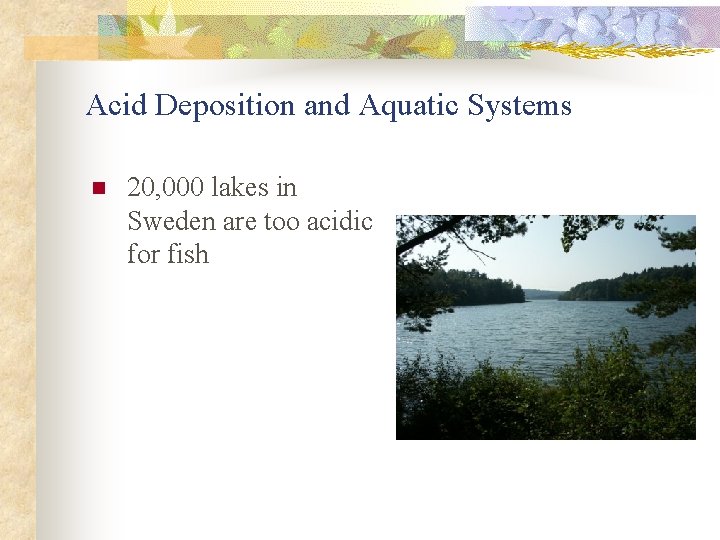 Acid Deposition and Aquatic Systems n 20, 000 lakes in Sweden are too acidic