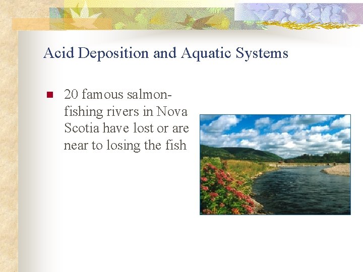 Acid Deposition and Aquatic Systems n 20 famous salmonfishing rivers in Nova Scotia have