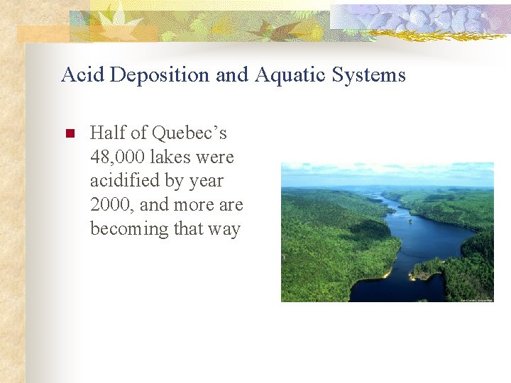 Acid Deposition and Aquatic Systems n Half of Quebec’s 48, 000 lakes were acidified