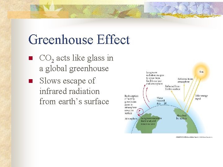 Greenhouse Effect n n CO 2 acts like glass in a global greenhouse Slows