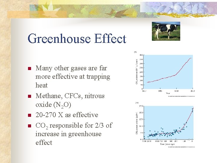 Greenhouse Effect n n Many other gases are far more effective at trapping heat