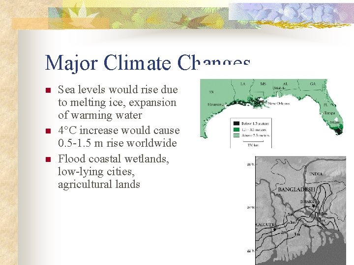 Major Climate Changes n n n Sea levels would rise due to melting ice,