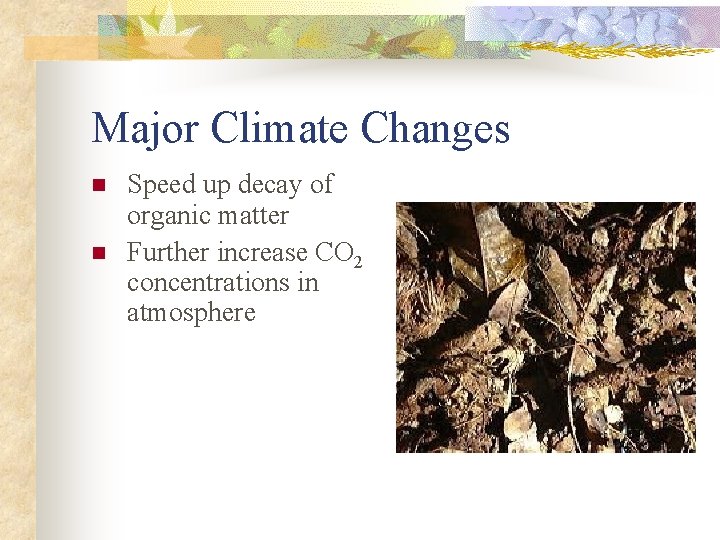 Major Climate Changes n n Speed up decay of organic matter Further increase CO