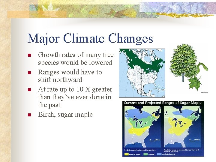Major Climate Changes n n Growth rates of many tree species would be lowered