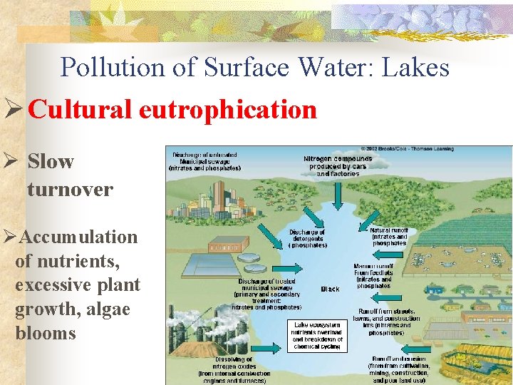 Pollution of Surface Water: Lakes Ø Cultural eutrophication Ø Slow turnover ØAccumulation of nutrients,