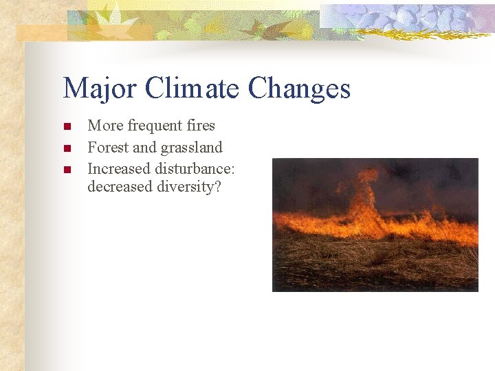 Major Climate Changes n n n More frequent fires Forest and grassland Increased disturbance: