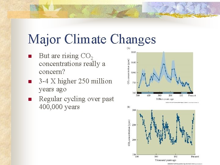 Major Climate Changes n n n But are rising CO 2 concentrations really a