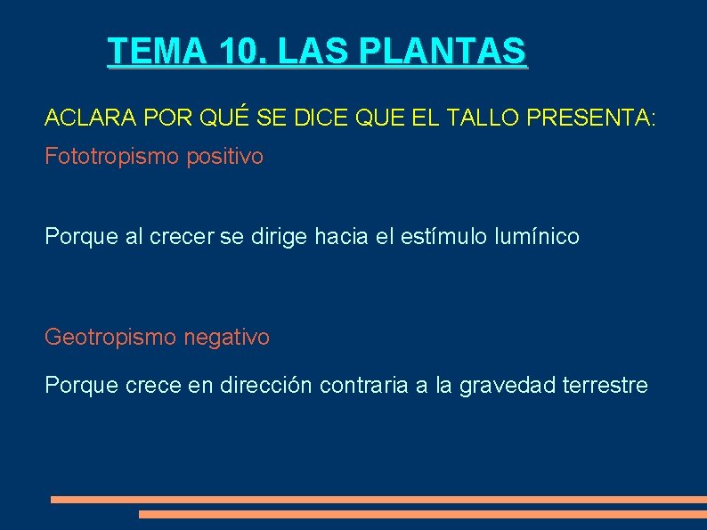 TEMA 10. LAS PLANTAS ACLARA POR QUÉ SE DICE QUE EL TALLO PRESENTA: Fototropismo