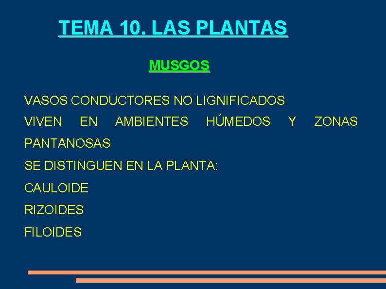 TEMA 10. LAS PLANTAS MUSGOS VASOS CONDUCTORES NO LIGNIFICADOS VIVEN EN AMBIENTES HÚMEDOS PANTANOSAS