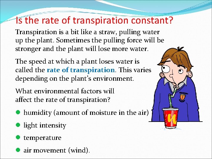 Is the rate of transpiration constant? Transpiration is a bit like a straw, pulling