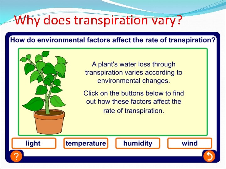 Why does transpiration vary? 
