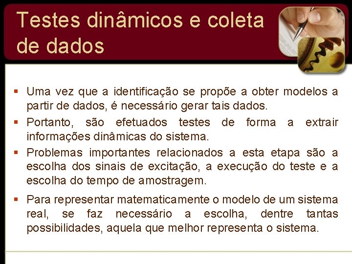 Testes dinâmicos e coleta de dados § Uma vez que a identificação se propõe