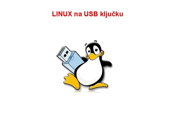 LINUX na USB ključku 