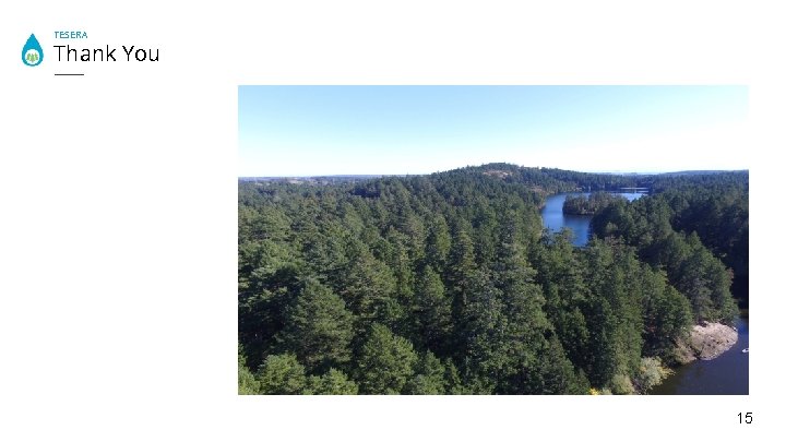 TESERA Thank You 15 
