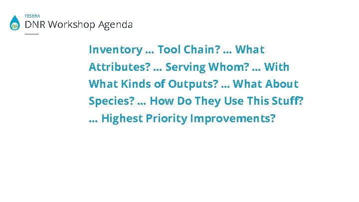 TESERA DNR Workshop Agenda Inventory … Tool Chain? … What Attributes? … Serving Whom?