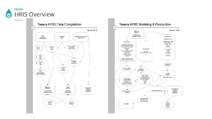 TESERA HRIS Overview 