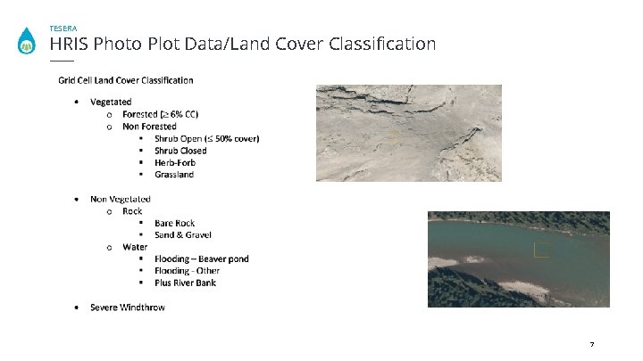 TESERA HRIS Photo Plot Data/Land Cover Classification 7 