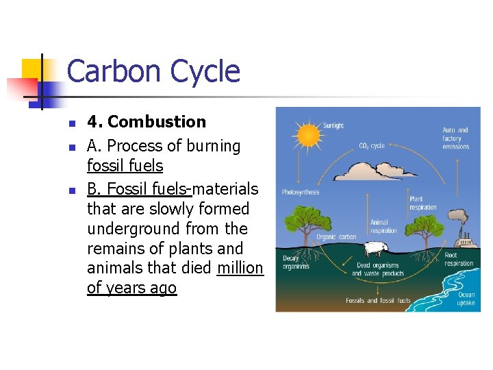 Carbon Cycle n n n 4. Combustion A. Process of burning fossil fuels B.