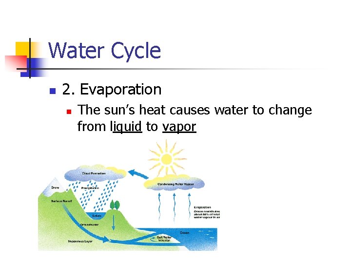 Water Cycle n 2. Evaporation n The sun’s heat causes water to change from