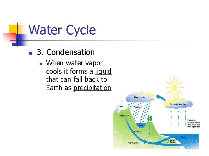 Water Cycle n 3. Condensation n When water vapor cools it forms a liquid