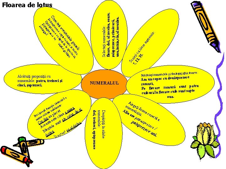 le: Subliniaţi numeralele şi NUMERALUL Despărţiţi în silabe numeralele: doi, treizeci, optsprezece a ică