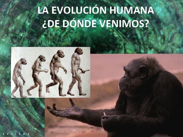 LA EVOLUCIÓN HUMANA ¿DE DÓNDE VENIMOS? 