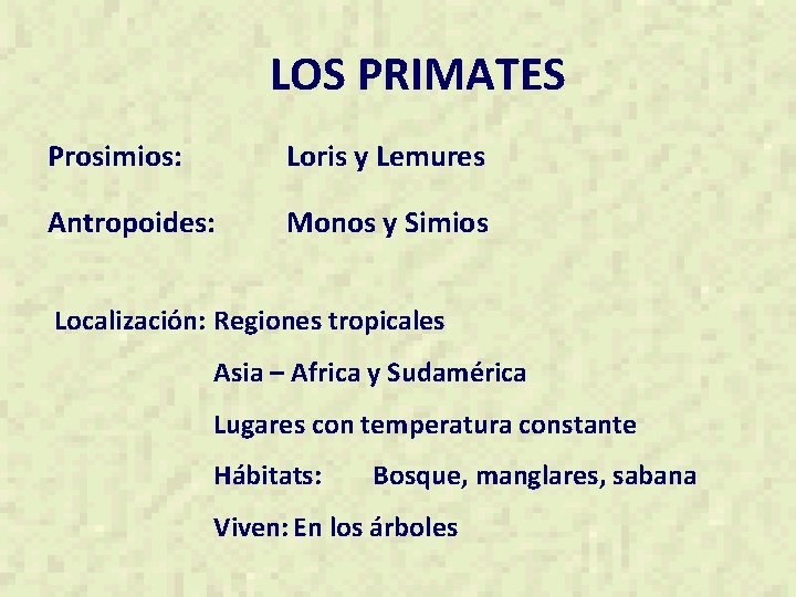 LOS PRIMATES Prosimios: Loris y Lemures Antropoides: Monos y Simios Localización: Regiones tropicales Asia