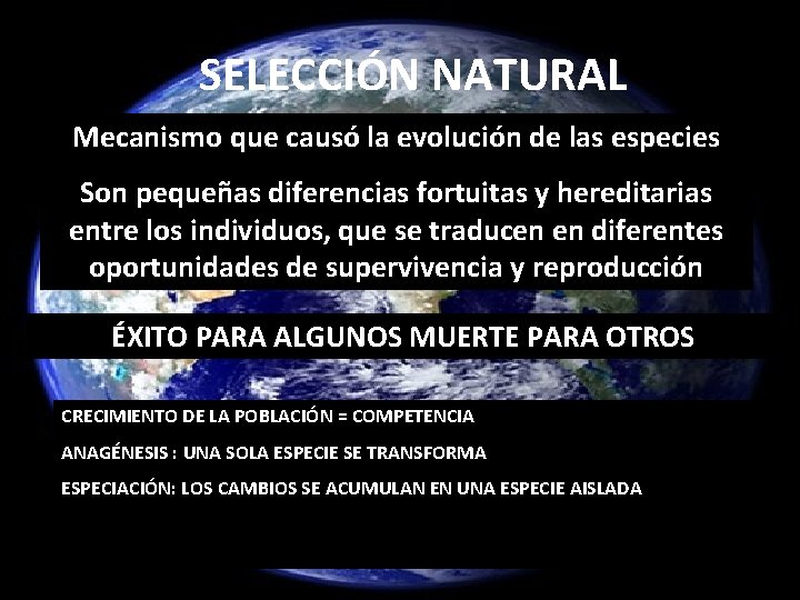 SELECCIÓN NATURAL Mecanismo que causó la evolución de las especies Son pequeñas diferencias fortuitas