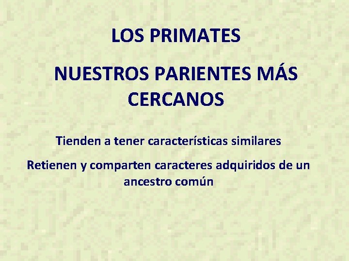 LOS PRIMATES NUESTROS PARIENTES MÁS CERCANOS Tienden a tener características similares Retienen y comparten