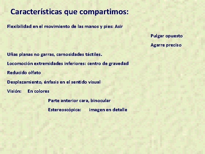 Características que compartimos: Flexibilidad en el movimiento de las manos y pies: Asir Pulgar