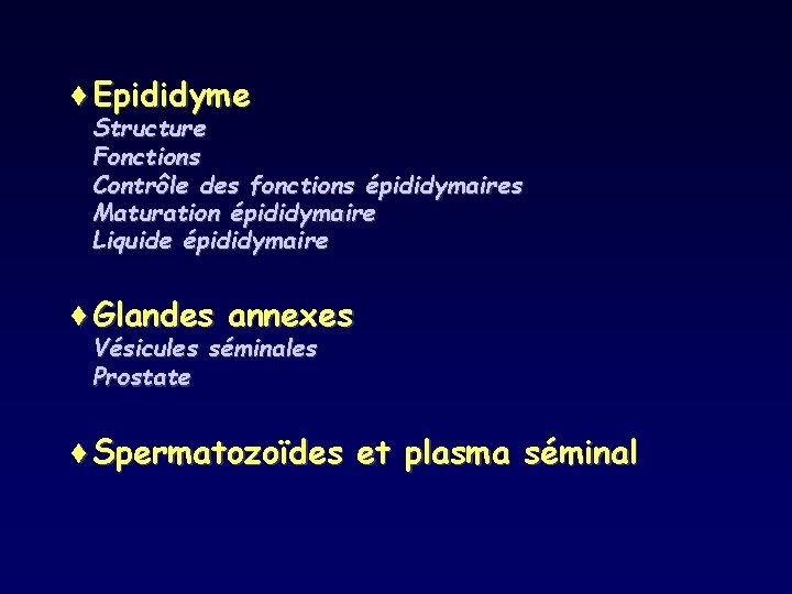 ¨Epididyme Structure Fonctions Contrôle des fonctions épididymaires Maturation épididymaire Liquide épididymaire ¨Glandes annexes Vésicules